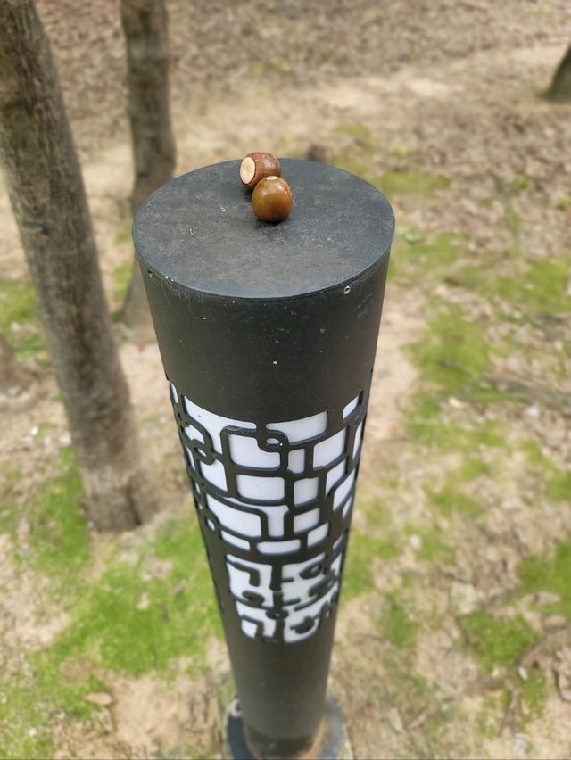 초록뷰 즐기며 거닐기좋은 김해여행지💚