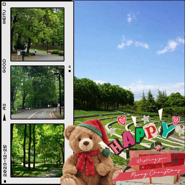 「谷中公園：歷史與自然之美，適合放鬆和沉思的春天好去處」