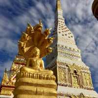 วัดมหาธาตุ  มิ่งเมือง