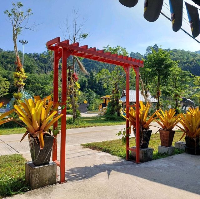 แห่งท่องเที่ยว จุดเช็คอินเขาช้างสี 