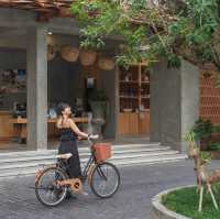 ที่พักวิวเขา ในเมืองเชียงใหม่  🌿