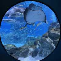Amazing Experience at COEX Aquarium!