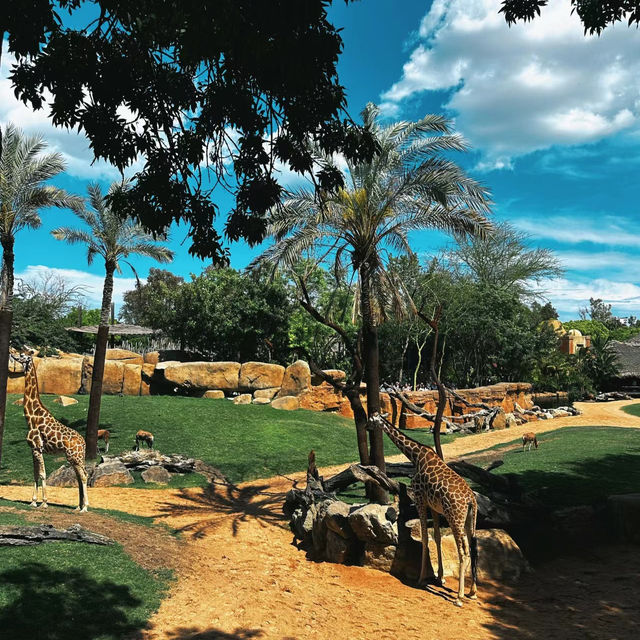 九州自然動物公園：近距離觀賞野生動物，感受原始自然王國