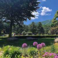 「日本鍋瀑布公園：春日浪漫，心靈寧靜」