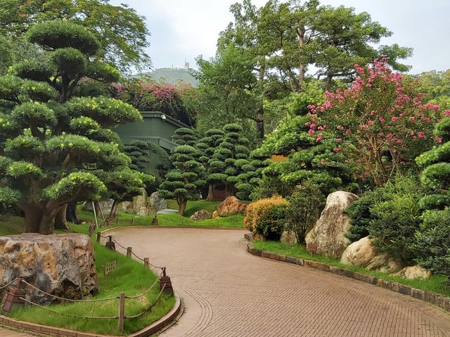 繁榮市區裏享受一個寧靜的公園