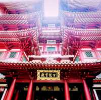 【シンガポール🇸🇬/壁一面に仏像が並ぶ煌びやかな”仏牙寺龍華院博物館”】
