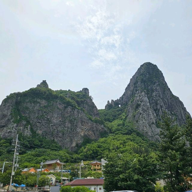 신비의 섬, 울릉도🏝 가는법