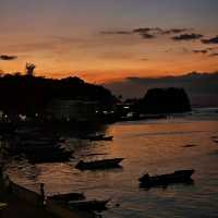 Puerto Galera PG 海豚灣