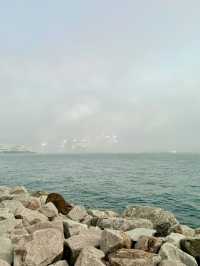 West Kowloon Art Park