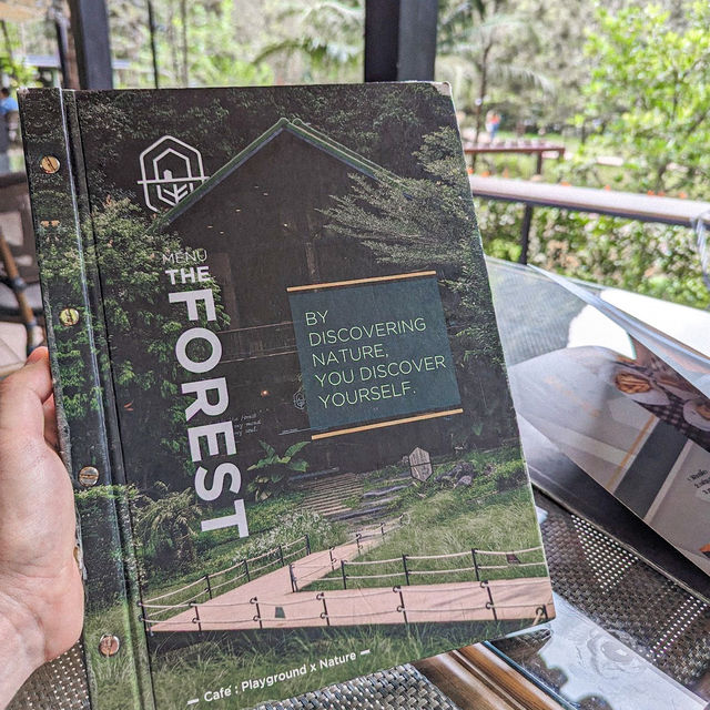INTO THE FOREST | ดื่มด่ำบรรยากาศคาเฟ่กลางหุบเขา