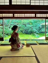 〜京都府〜暑くない！むしろ涼しい絶景🌱青紅葉のリフレクション