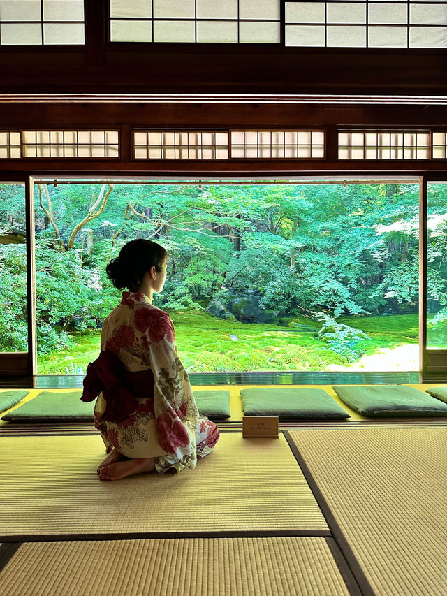 〜京都府〜暑くない！むしろ涼しい絶景🌱青紅葉のリフレクション