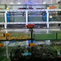コタキナバルでシーフードを食べよう