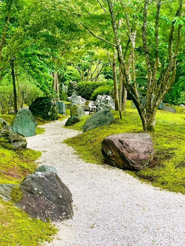 【京都/人気スポット】２万株の紫陽花！ハートの紫陽花❤️を探せ！京都、1.2を荒らそう激混みスポット