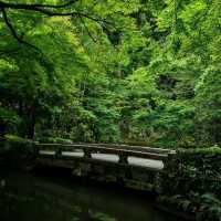 和光院：山水畫捲，展現日本園藝藝術