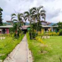 Budget Friendly Stay, Restaurant and Tours