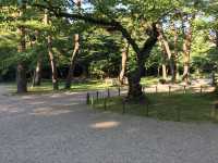 千秋公園的四季之美：探索秋田的自然與歷史