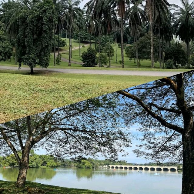 【吉隆坡】Taman Botani Putrajaya：自行車遊湖景，適合任何時間和場景