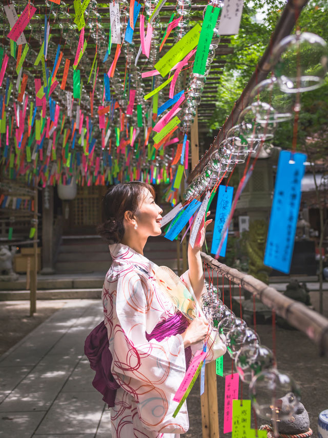 2500個の風鈴の音色が涼しげな『かえる寺」🐸