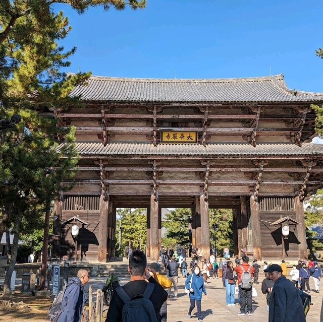 秋の奈良