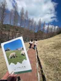 【兵庫/神戸】動物たちに癒される‼︎六甲山牧場🐏❤️