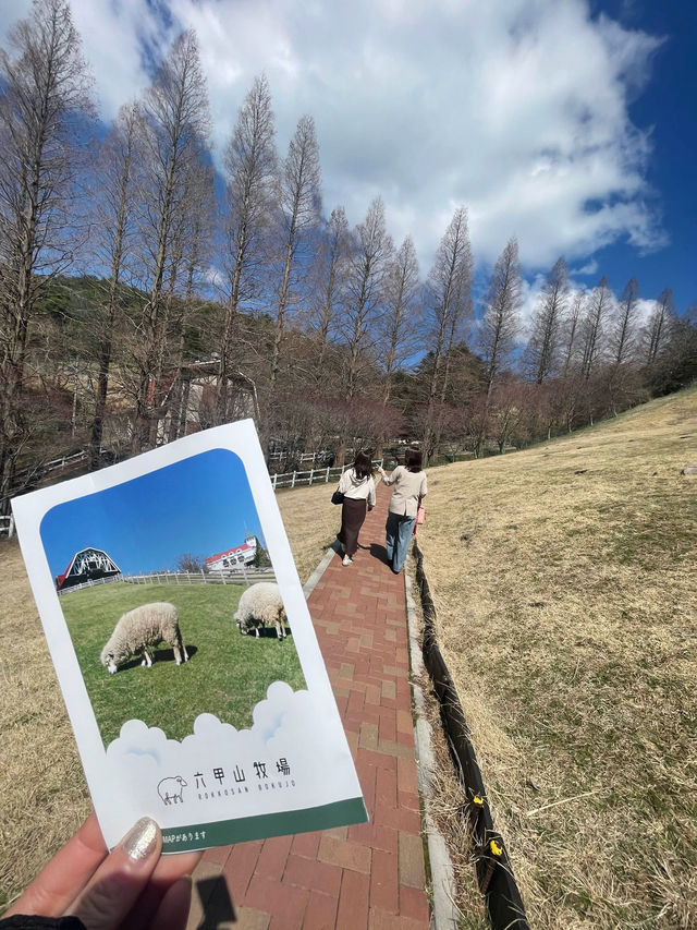 【兵庫/神戸】動物たちに癒される‼︎六甲山牧場🐏❤️