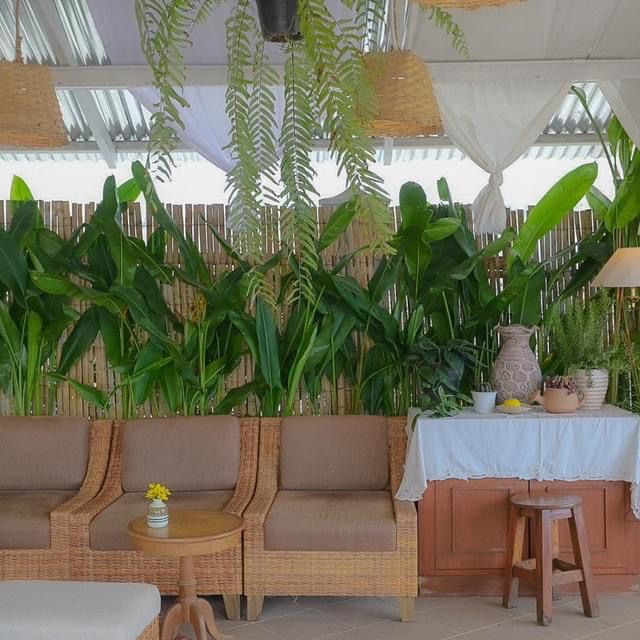 Chaplu Cafe & Restaurant
