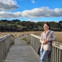 Princetown Wetlands Boardwalk