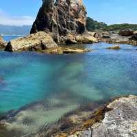 本州の最南端の海　サンゴが観れるのは串本だけ！