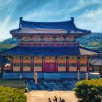 Tranquility at Chungcheongnam-do, South Korea 🇰🇷🌿