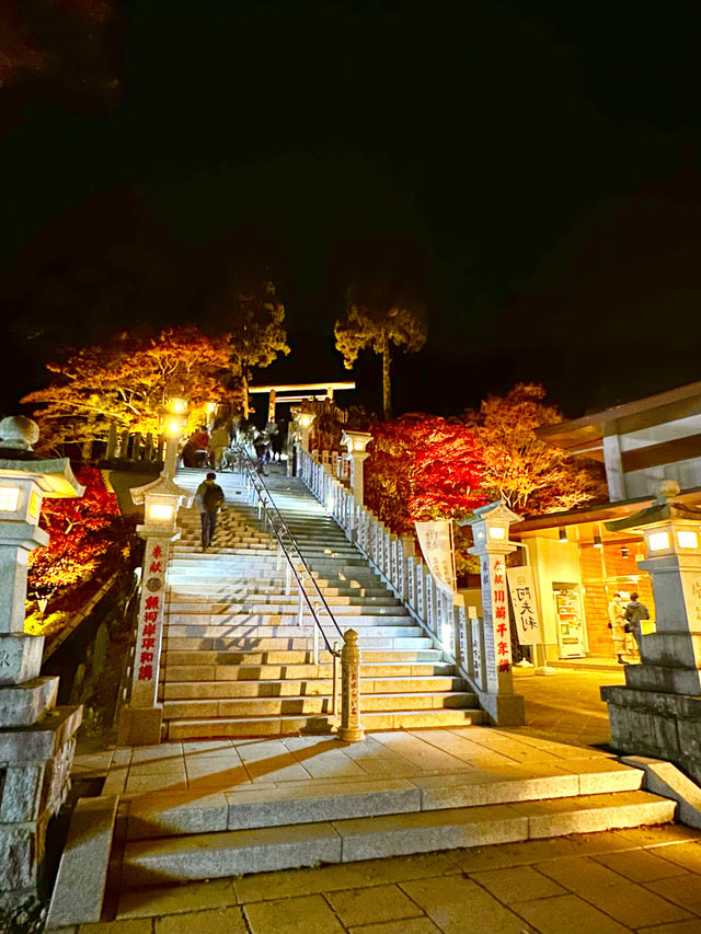 〜神奈川県〜夜景と紅葉両方楽しめるのはここだけ！大山阿夫利神社ライトアップ