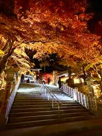 〜神奈川県〜夜景と紅葉両方楽しめるのはここだけ！大山阿夫利神社ライトアップ