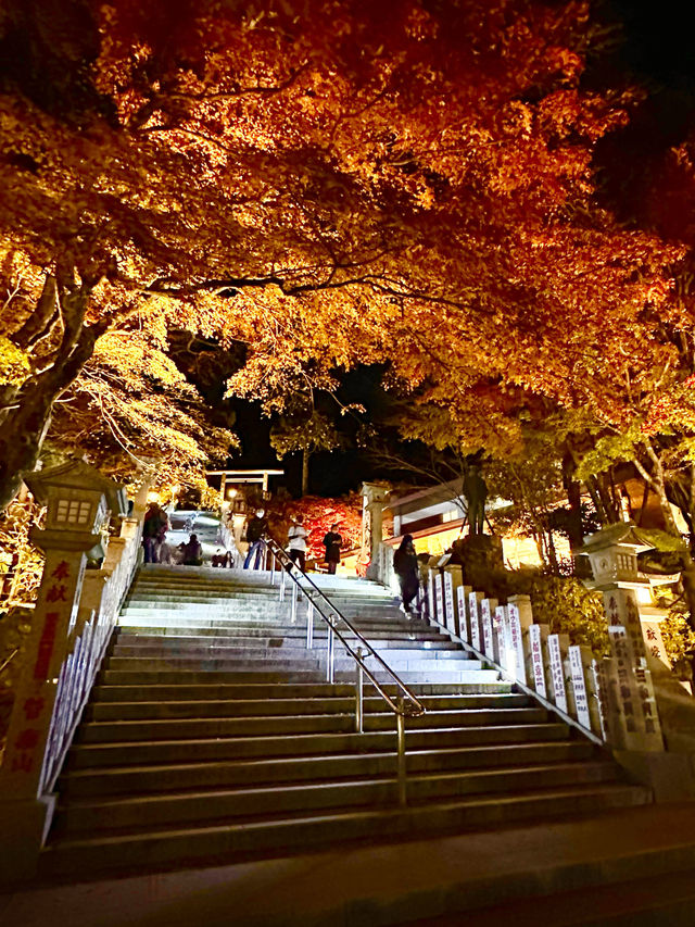 〜神奈川県〜夜景と紅葉両方楽しめるのはここだけ！大山阿夫利神社ライトアップ