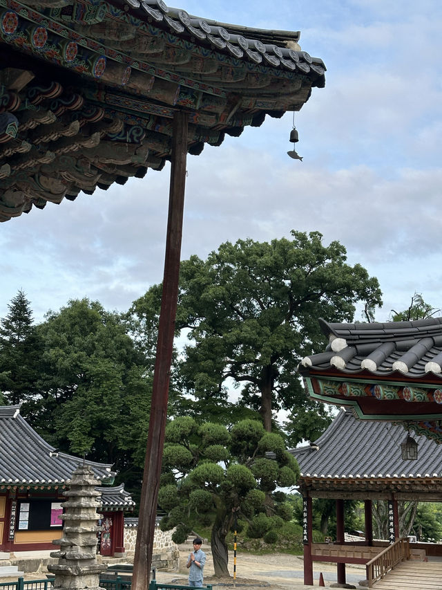 강가에 운치를 즐기시며 🏝️ 유유자적 쉴 수 있는 여주 신륵사 여름여행 💚