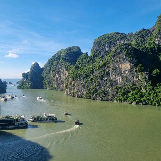 ha long lotus cruise overnight