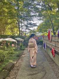 〜東京都〜穴場！秋のお花見スポット🍂上野ダリア展