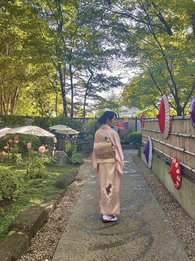 〜東京都〜穴場！秋のお花見スポット🍂上野ダリア展