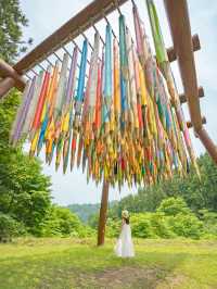 【新潟】今年も開催🌼「大地の芸術祭」アートめぐり&おすすめスポット7選✏️🫧 