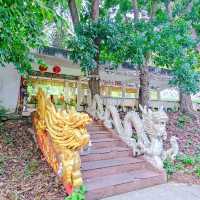 เขาคอหงส์ หาดใหญ่