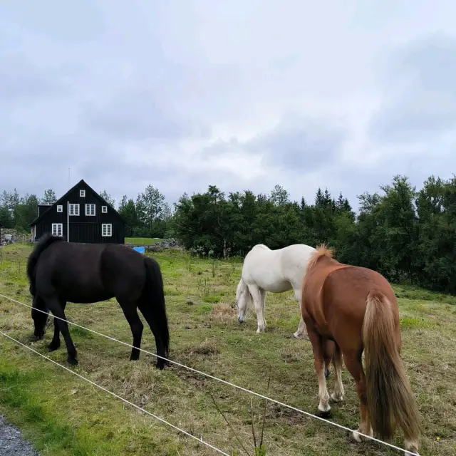 Árbær Open Air Museum