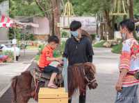 รีวิว The Scenery Vintage Farm สวนผึ้ง 
