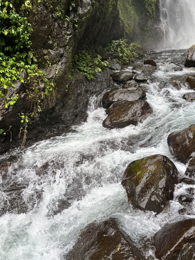 Sekumpul waterfall Bali