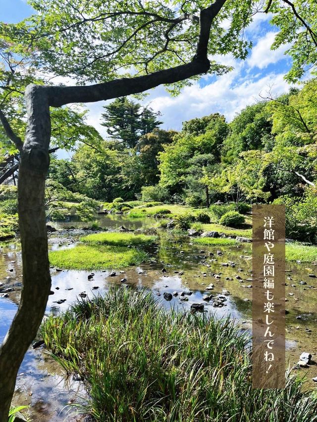 【京都】縁側でまったり🍵