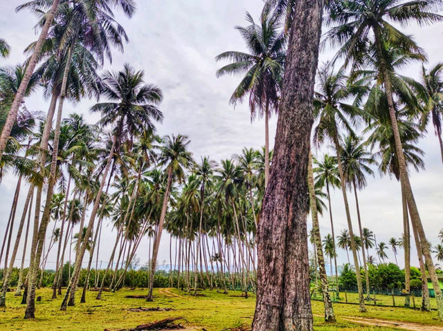 🇲🇾 Escape to the Serenity of Mangkuk Village