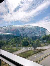 Jewel Changi Airport National Day Celebrations