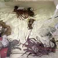 Nibong Tebal’s Seafood Gem: Kedai Kopi Ching Siang