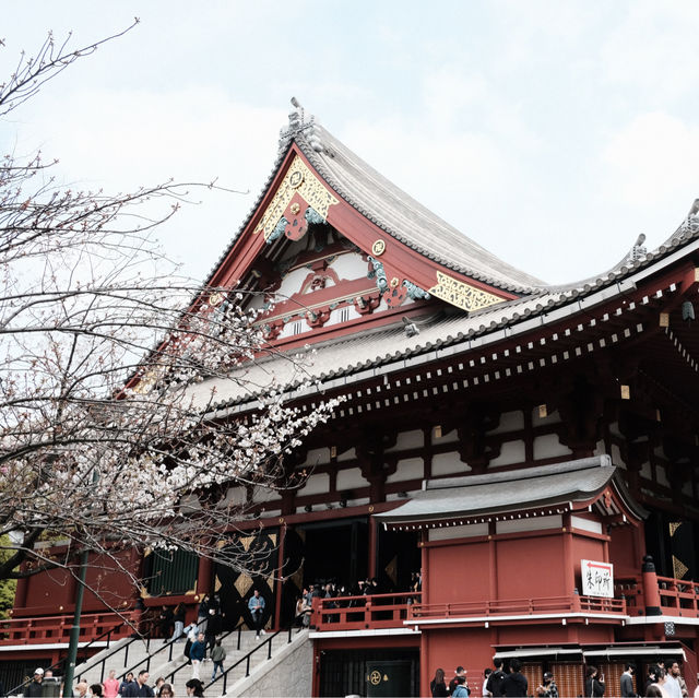 วัดอาซากุสะ (Asakusa Temple) 