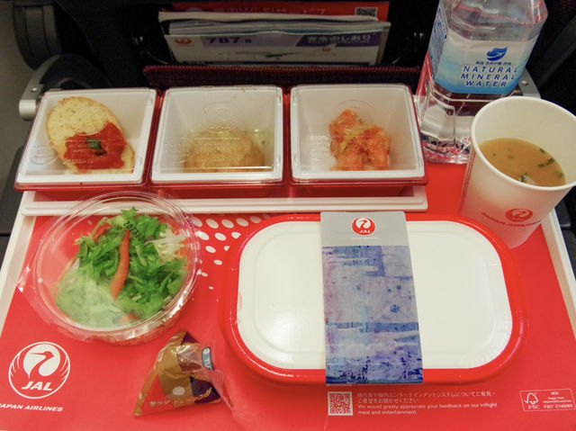 【JL】成田→サンフランシスコ エコノミークラス✈️