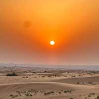 Exciting Dune bashing & Camel experience in Dubai Desert