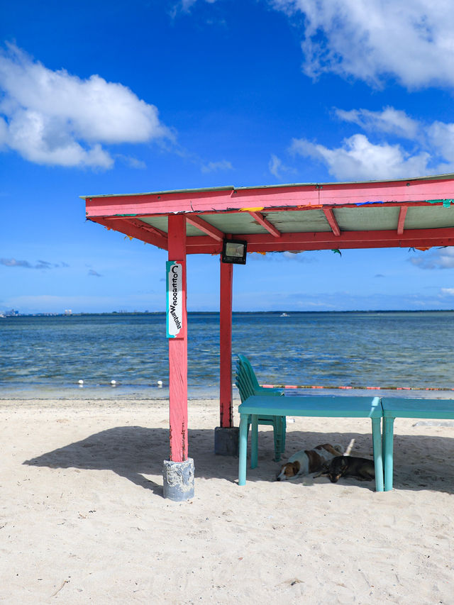 【セブ🇵🇭】セブ島で透明度の高い海が広がるビーチを満喫しよう！